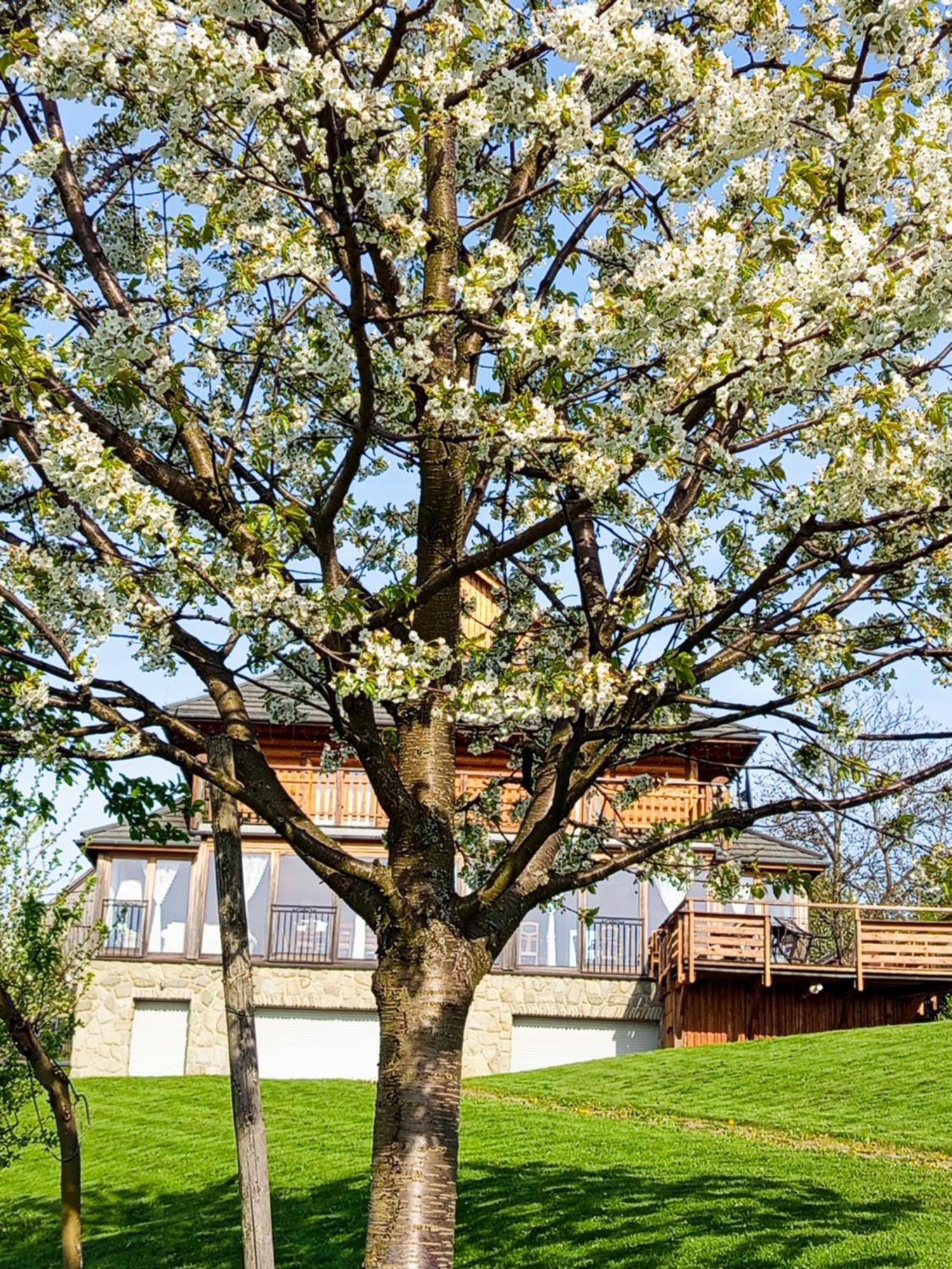 Bed and Breakfast Dom Na Rozcesciu Koniaków Esterno foto